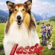 Familienkino für alle: LASSIE – ein neues Abenteuer